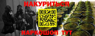 амфетамин Гатчина