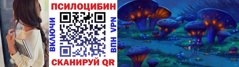 Галлюциногенные грибы Magic Shrooms  закладка  ОМГ ОМГ как войти  Шатура 