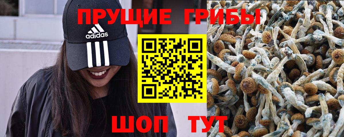 Галлюциногенные грибы мухоморы Шатура